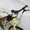 Mixte Carbon Drive 8 Speed Internal Hub Bicycle