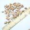 Chinese Light Speckled Kidney Beans (American Round Type) New Crop