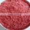 Supply All kinds shapes of Frozen dried strawberry for sale