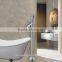 Single Handle Floor Standing Brass Bathtub Tap With Hand Shower