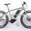 2016 Popular 250W 36V Fat Tire Electric Bike for Eurpean Market ( HJ-M21 )
