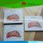 Direct factory supplied women breast anatomy model