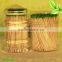 Nature Double Tips Bamboo Toothpick Minted