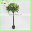 artificial fortunate tree/money tree on sale