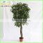 fake artificial money pant tree woode trunk home decoration