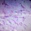 Human oral tooth pathological pathology prepared teaching slides