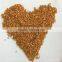 red broomcorn millets red millet spray