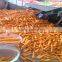 2016 New crop Fresh Carrots