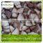 Frozen Shiitake