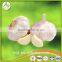 4cm 5cm 5.5cm 6cm Normal White Pure White Fresh Garlic