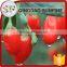 Kosher approval good price goji fruit extraction dried fruit goji Berry