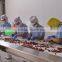 Dried fruits(dried strawberry/kiwi/apple/cantaloupe/mandarin orange