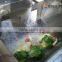 Small Automatic Electric Vegetable and Fruit Washing Machine