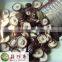 Sliced Canned Mushroom Shiitake Brine in Salted Water in Drum