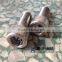 Duplex2507 &1.4410 stainless steel hex socket head cap screws S32760 / 1.4501