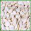Hot Sale Best Quality and Cheap Snow White Pumpkin Seeds More Than 13 cm