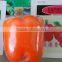 Early maturity strong antivirus orange sweet pepper seeds Julia