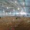 High Quality Low Price Industrial Steel Structure Chicken Coop