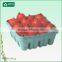 Hot selling factory directly wholesale dry fruit decoration tray