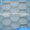 Hexagonal Mesh / Poultry Gages / reinforcement fence wire mesh