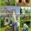 Telescopic Petrol Pole Hedge Trimmers HL1E32F - 2N