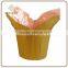 Colourful Indoor Decoration kraft paper flower pot