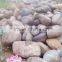 big size cheap landscaping river pebbles
