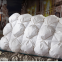 feather pillows