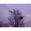 300w vertical axis wind turbine
