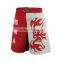 Custom MMA Shorts / Sublimation MMA Shorts / Mixed Martial Arts Fight Shorts