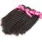 For Black Women Thick 20 Natural Hair Line Inches Brazilian Curly Human Hair Malaysian