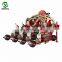 Precision  Pneumatic  corn bean  seeder