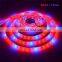 DC12V 300LEDS 5Meters Per Roll Red:Blue 3:1,4:1,5:1 Led Grow Strip Tube Light