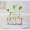 Home decoration Plant water bottle wood organizer