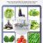 Fully Automatic SUS 304 Vegetable Salad Leafy Vegetable Processing Machine With Good Quality