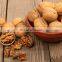 Vietnam Walnuts/High Quality Dried Walnuts For Wholesales From Vietnam