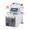 Newest 6 in 1 Multifunction H2O2  Small Bubble Facial Skin Clean Rejuvenation Beauty Machine for Skin Care