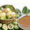 High quality garcinia cambogia extract 50`% garcinia extract garcinia cambogia supplement
