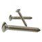 Raised CSK Head Self Tapping Wood Screws , Slotted Raised Countersunk Wood Screw