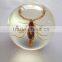 New design clear plastic sphere ball with real ember embedded for promotional gift