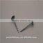 competitive price BWG10X2.5" roofing nails