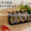 Professional Customization Supermarket Display With Absorbent Pad Plastic Fish Container