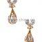 Fancy Butterfly Cubic Zirconia Drop Earrings