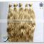 Top quality wholesale brazilian hair bulk 100% brazilian hair bulk hair