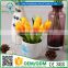 2016 Wholesale Multicolor Latex Artificial PU Flowers Mini tulip bonsai Real Touch Bouquet Wedding Bridal Decor Display Flower