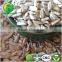 Hulled Sunflower Kernel Confectionary Grade and Hulled Sunflower Kernel Bakery Grade.