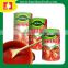 Tomato Paste canned ketchup