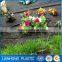 Low Price Suntex Supply Black Recyclable 100% PP Garden Ground Cover