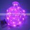 Silver Wire Led String Lights With Ribbon