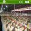 Ground broiler poultry farm equipment